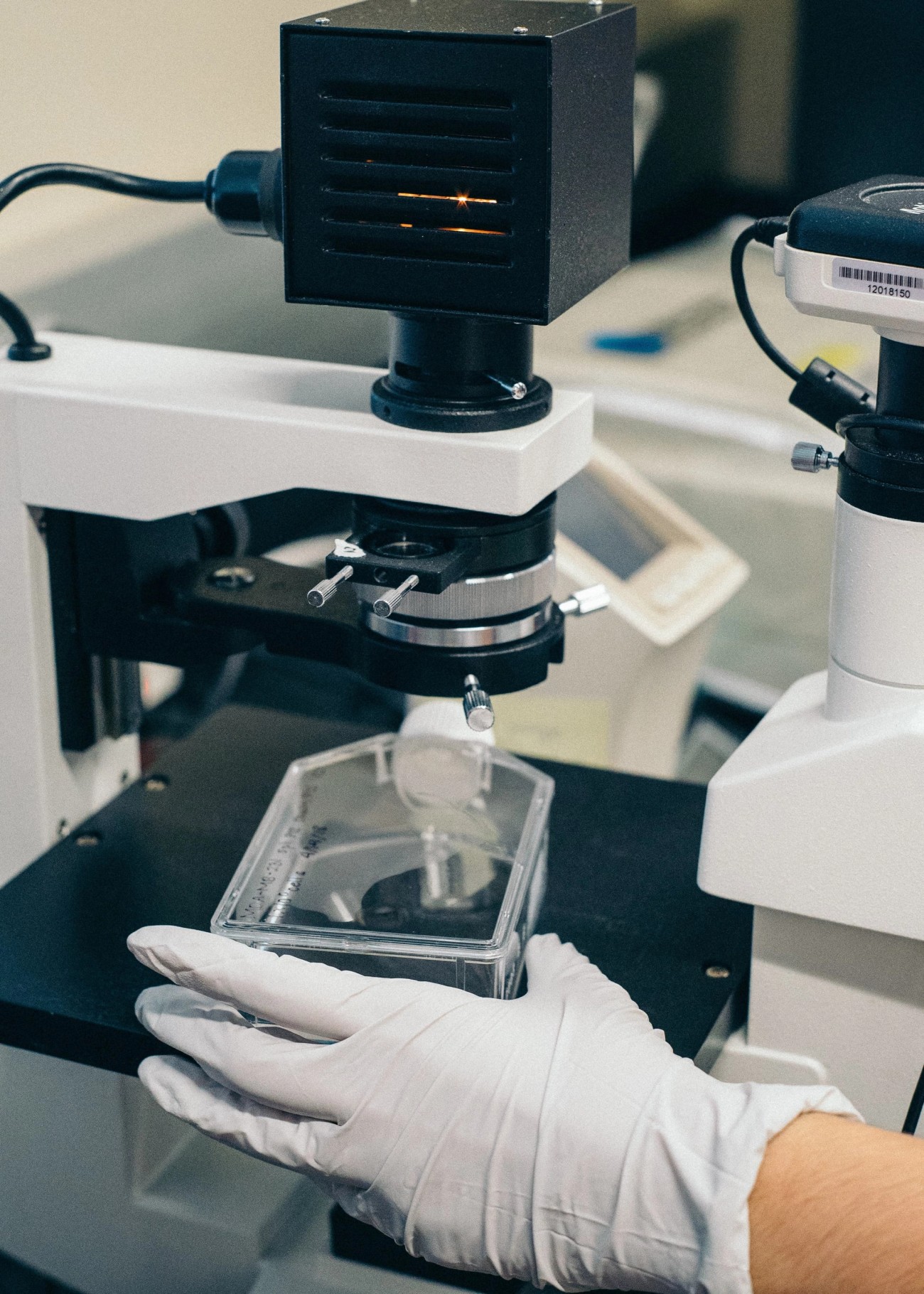 Person with gloves on microscope