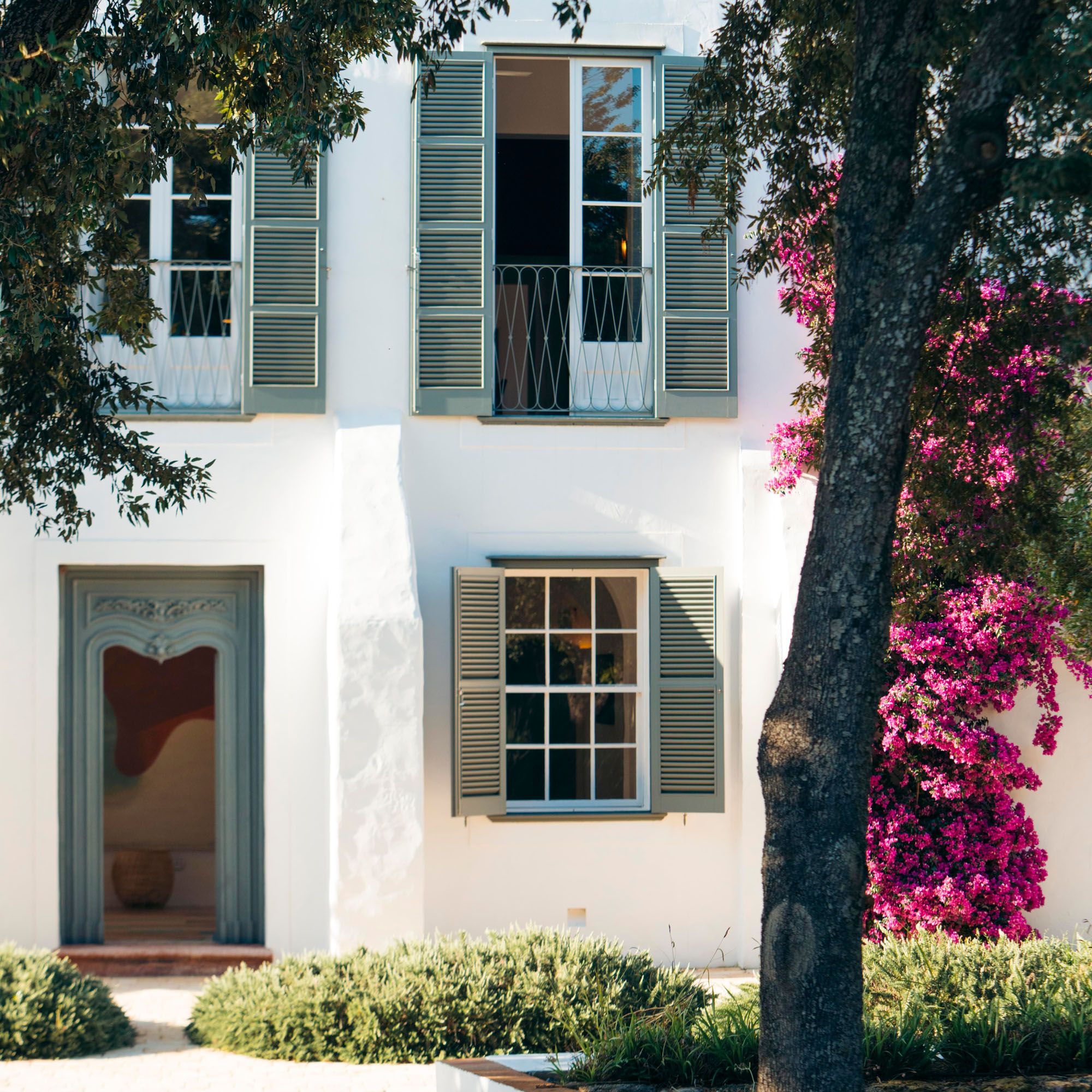 Hilltop Finca Estate — image 1