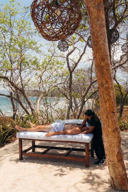 Palm Trees & Paradise