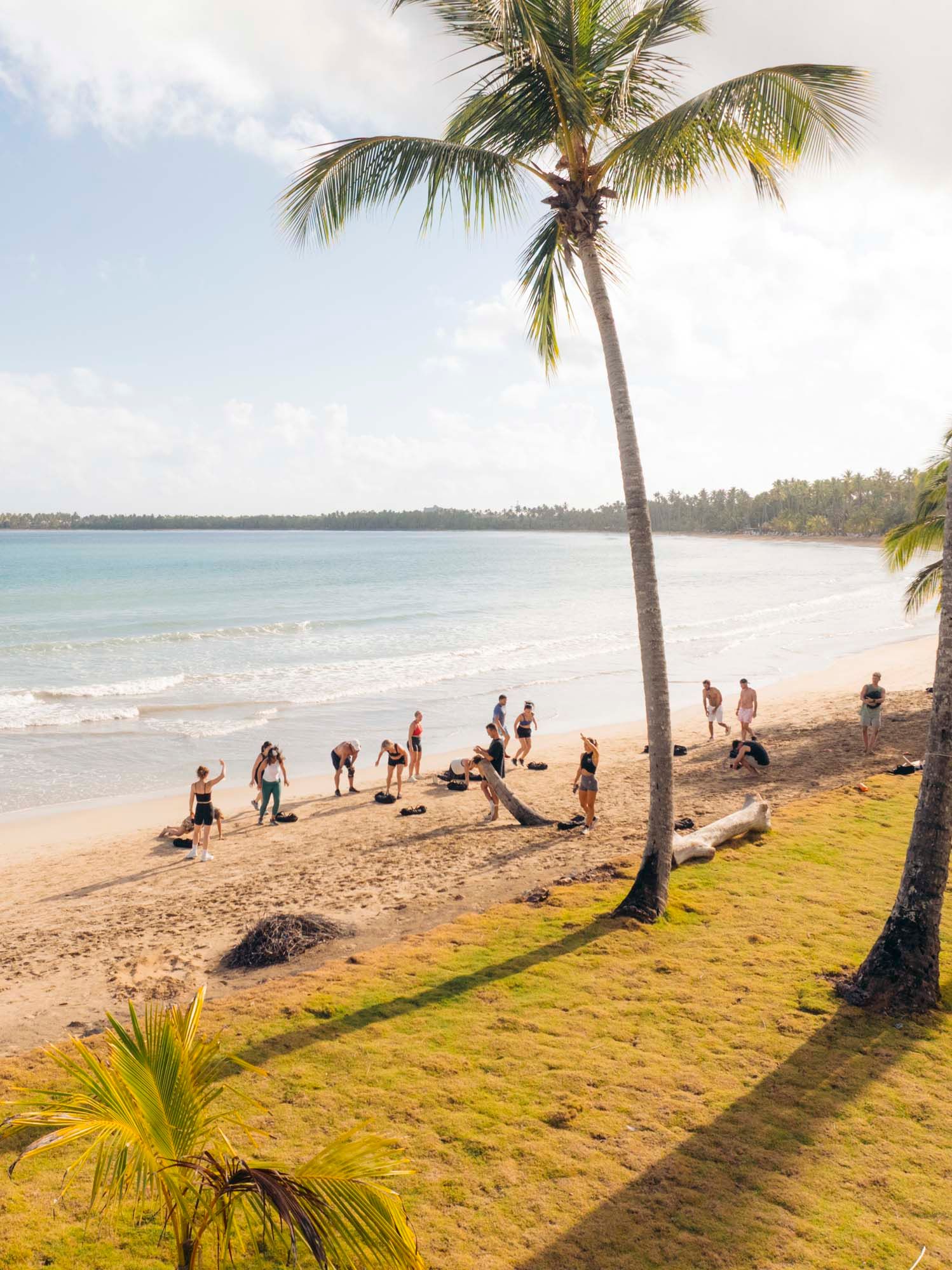 Sweat, Swim & Island Vibes
