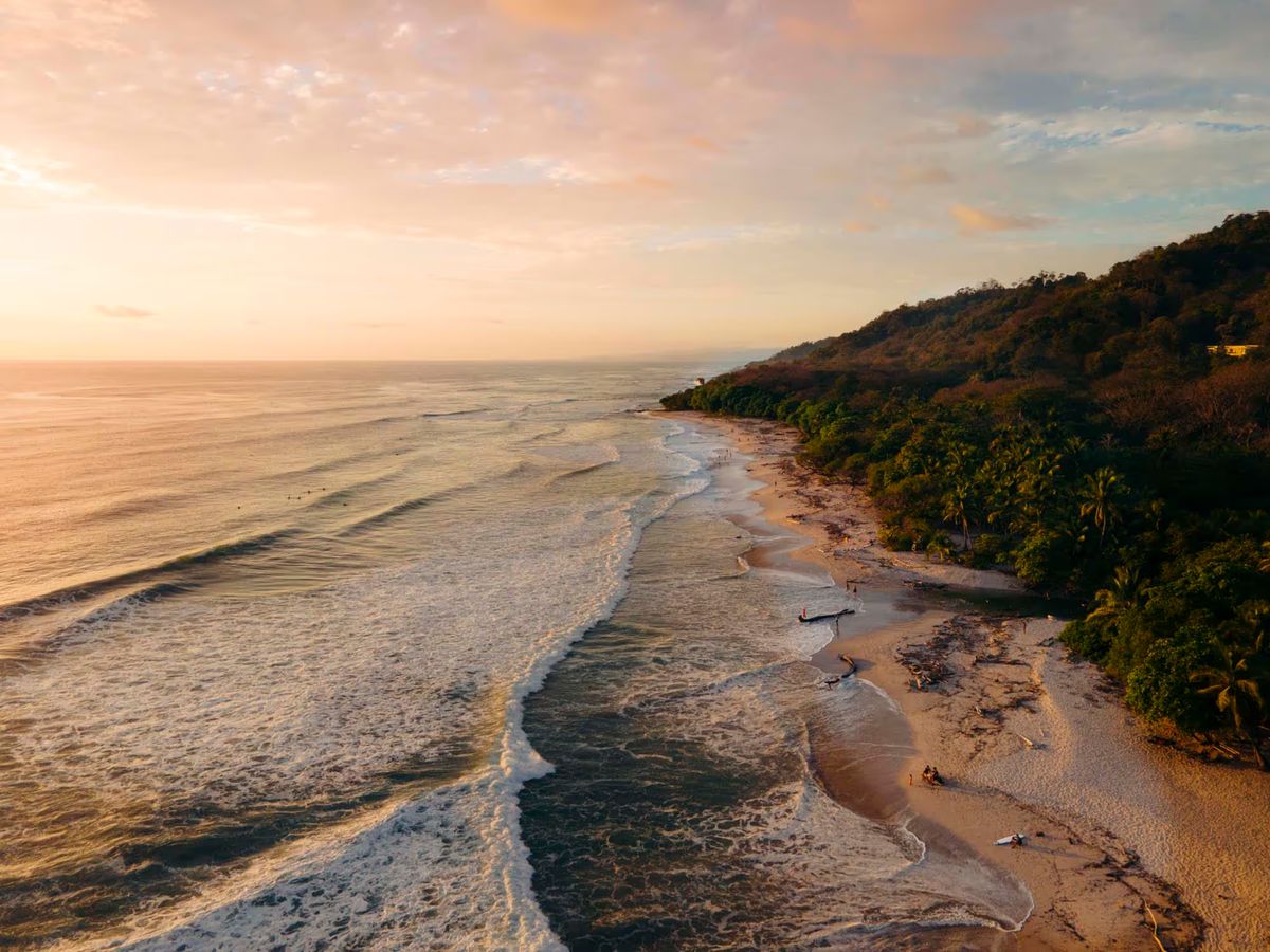 The Tropics