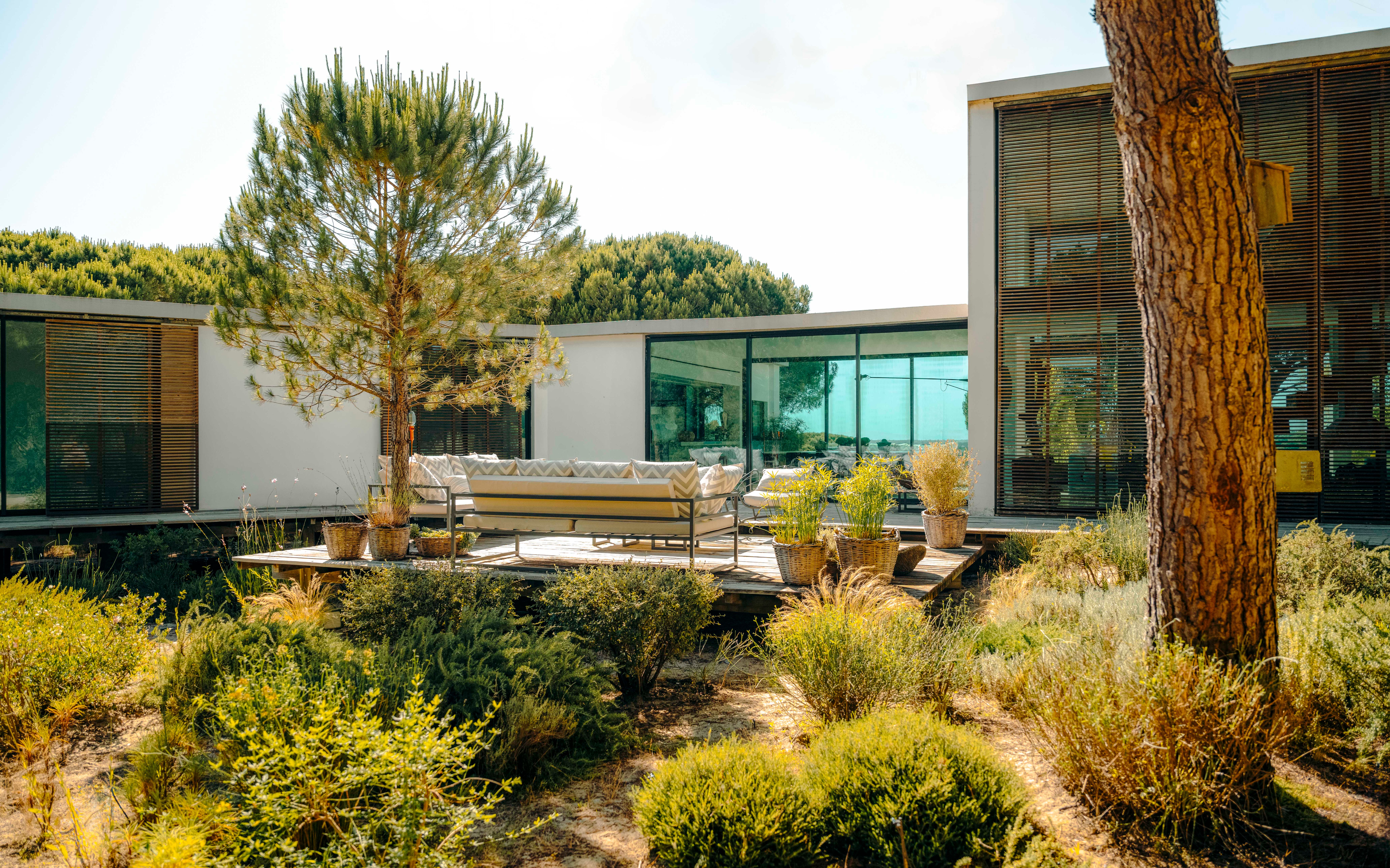 Luxury Forest Villa — image 4