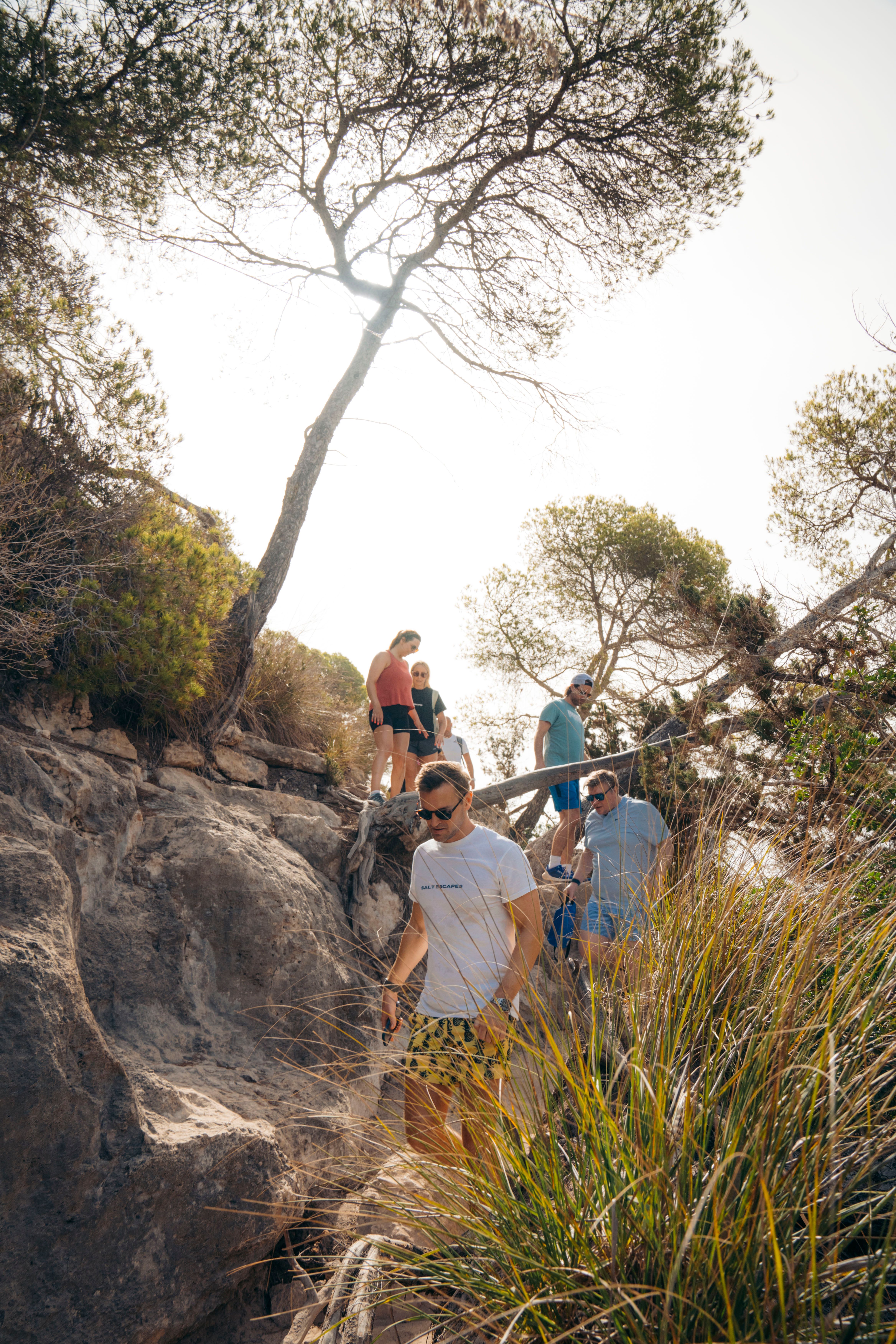 Forest Trails & Epic Tales