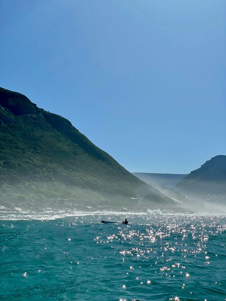 Sweat, Dolphins & Iconic Dining