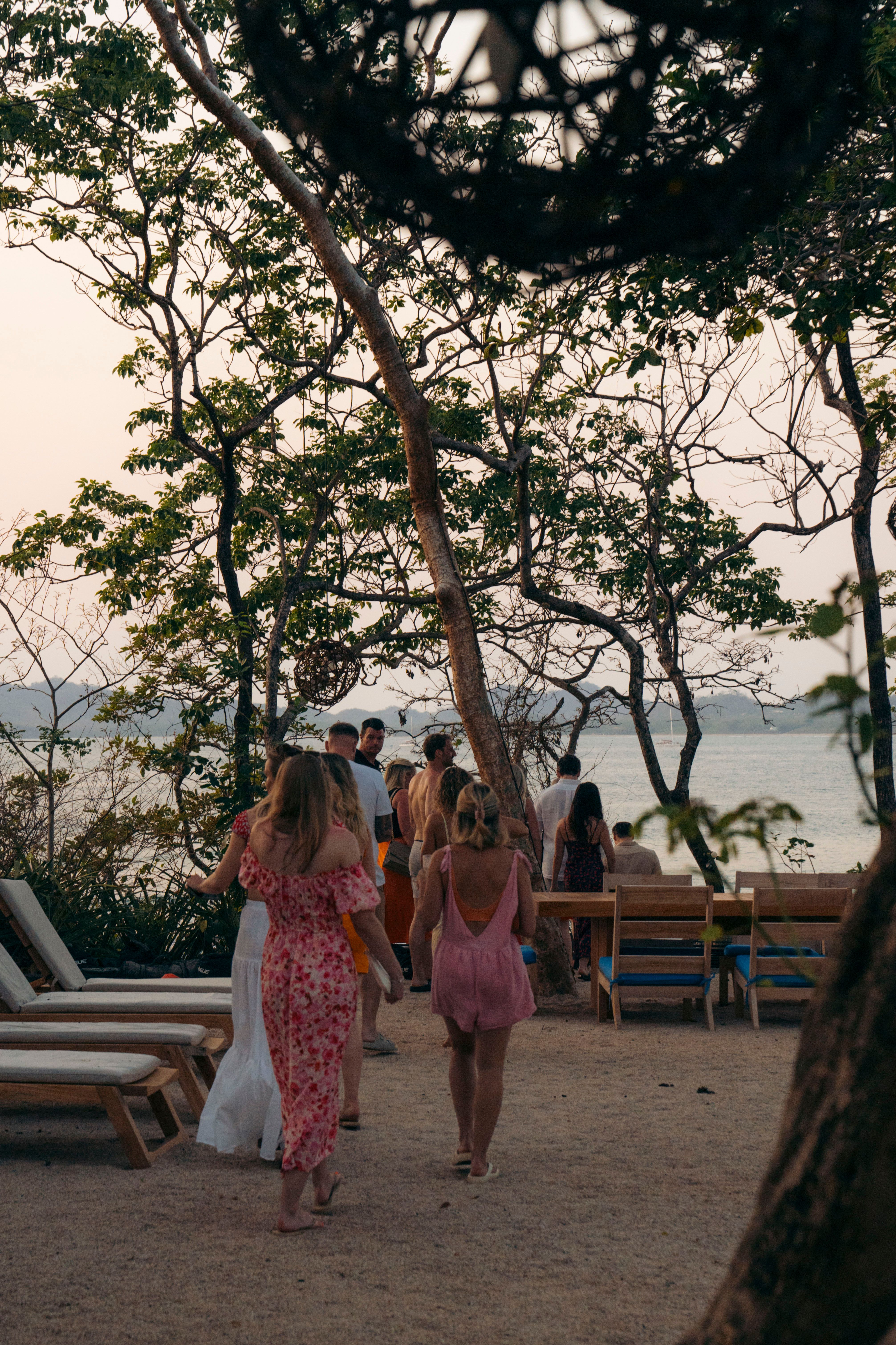 Palm Trees & Paradise