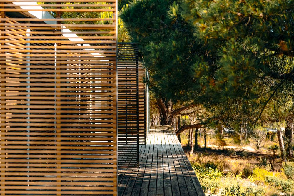 Luxury Forest Villa — image 6