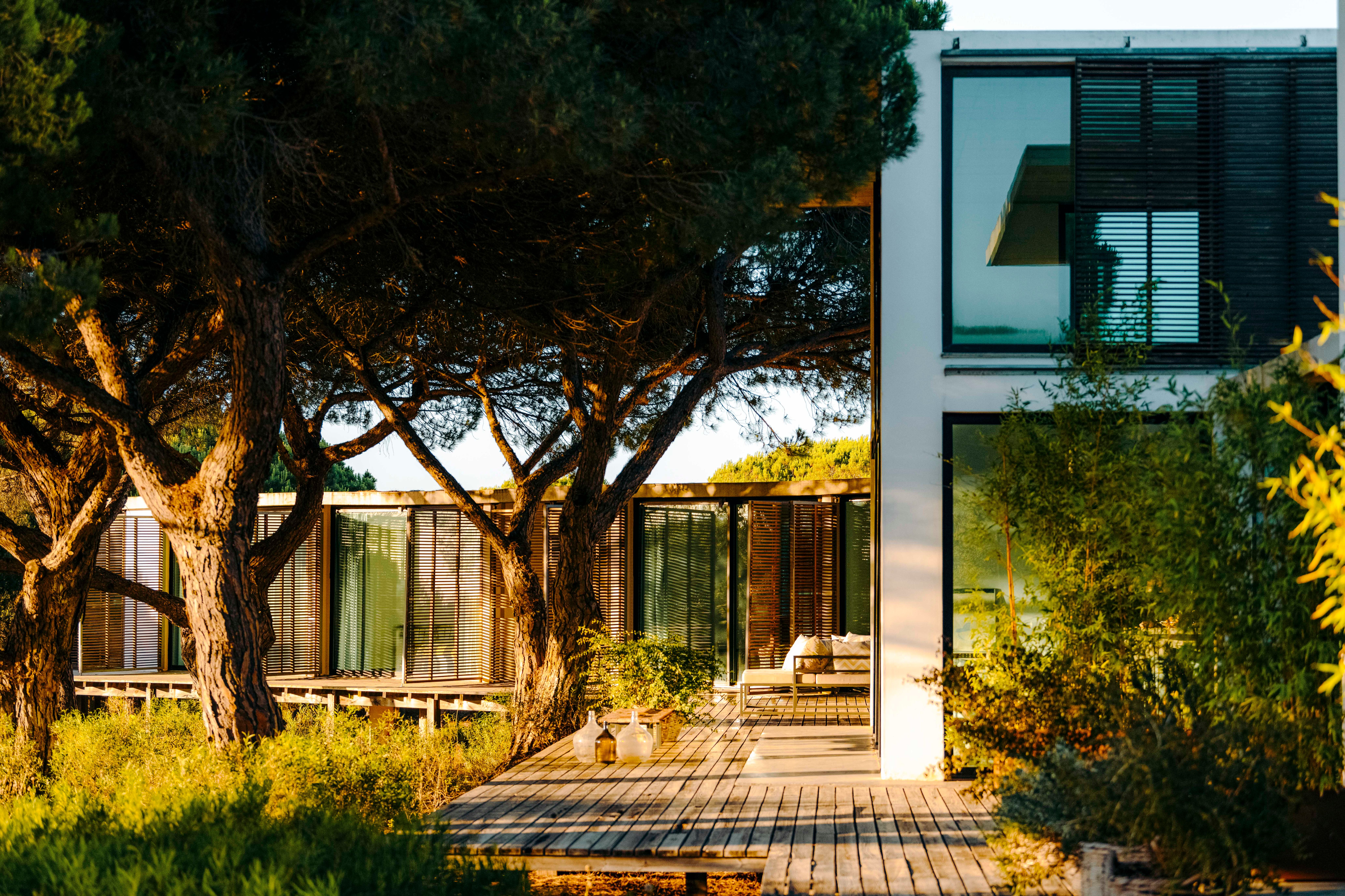 Luxury Forest Villa — image 13