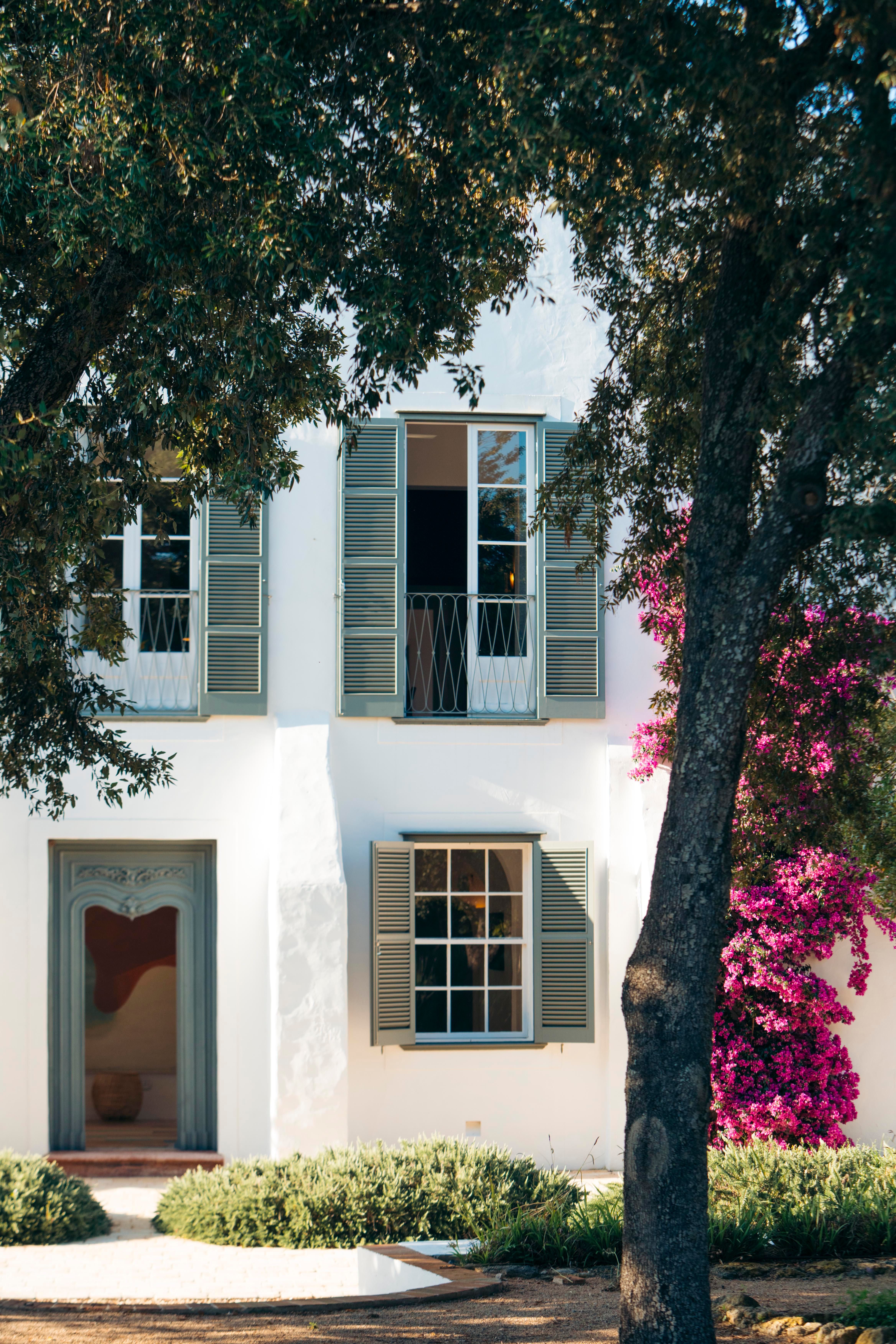 Hilltop Finca Estate — image 1