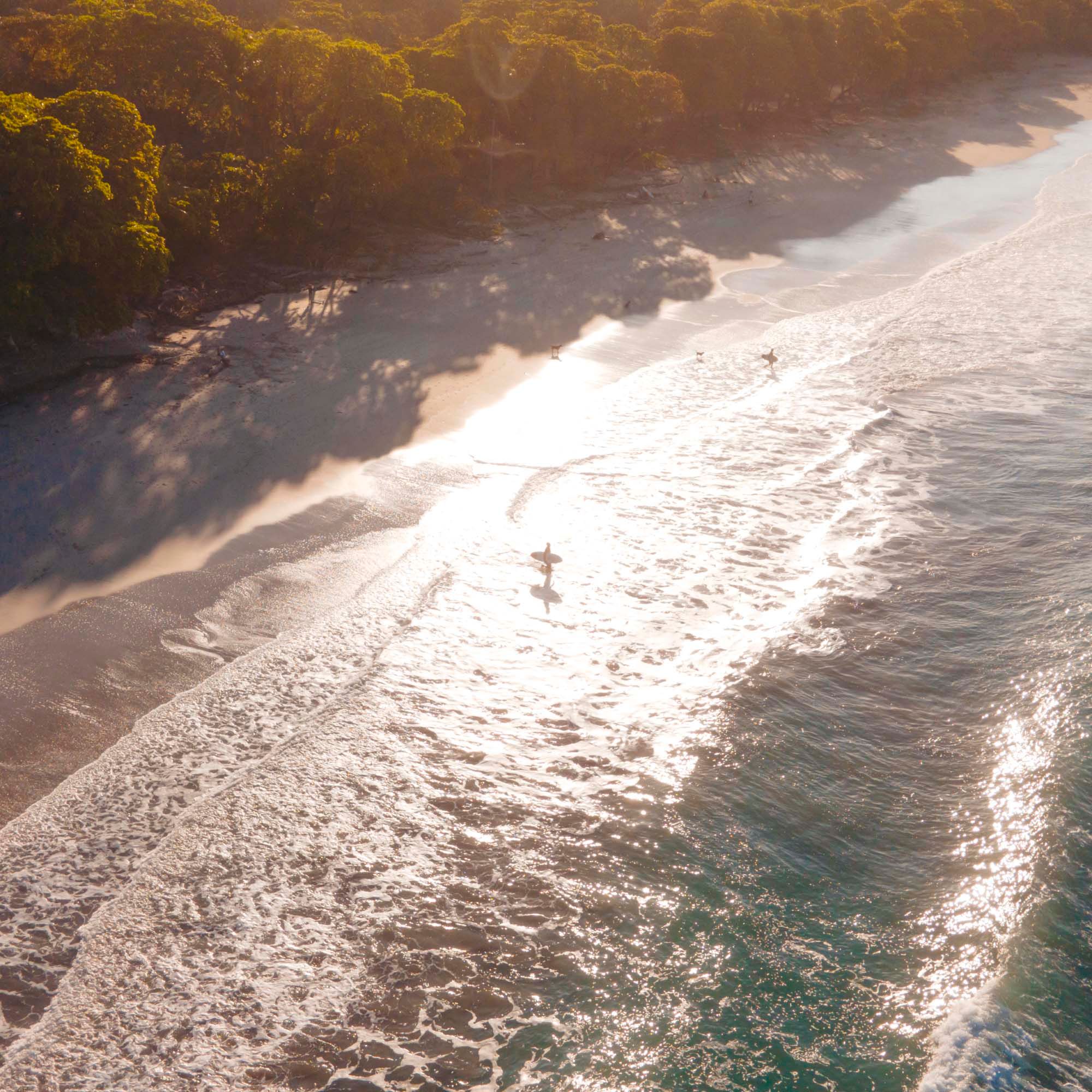 Beachfront Jungle Villa — image 7