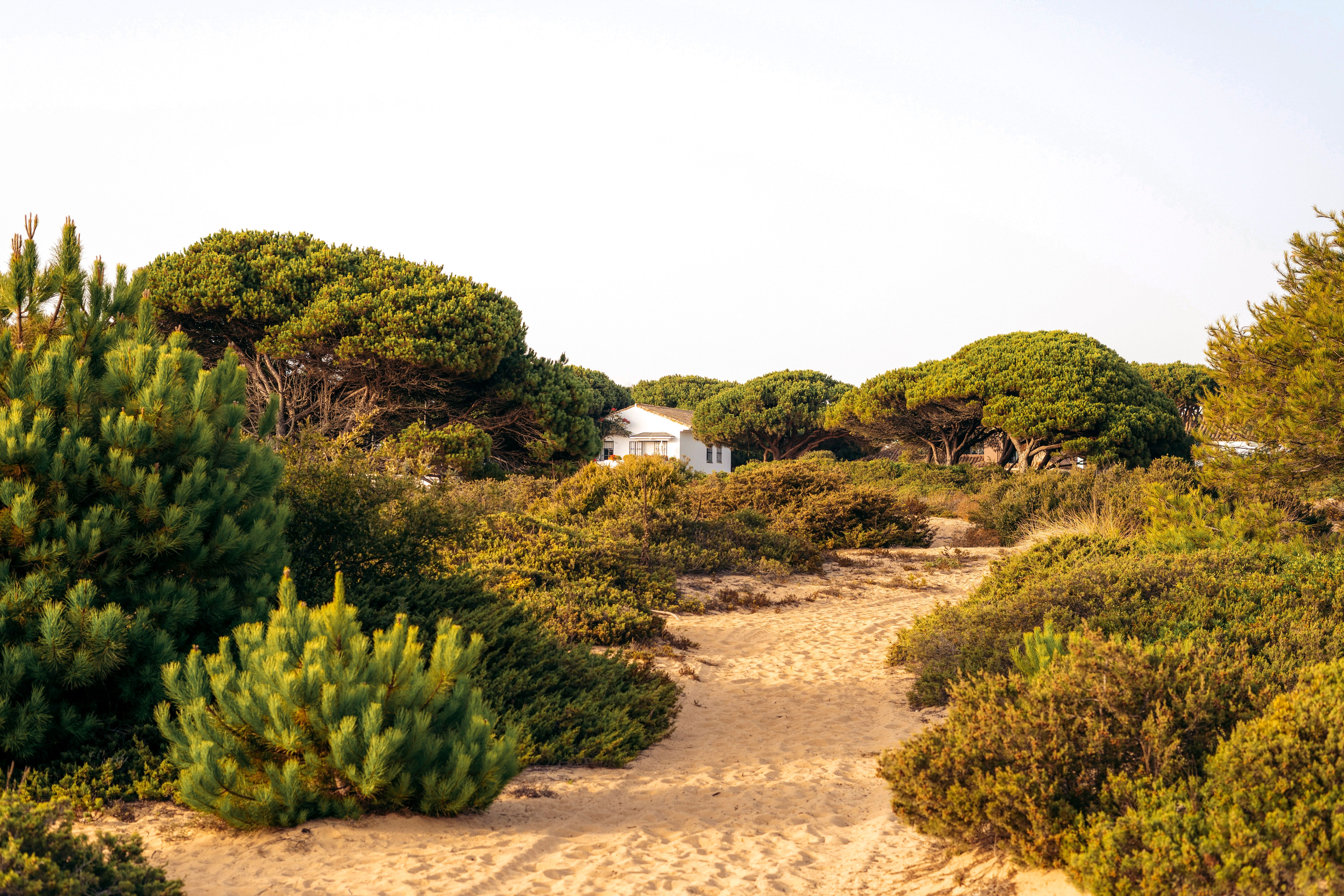 Comporta — gallery 3