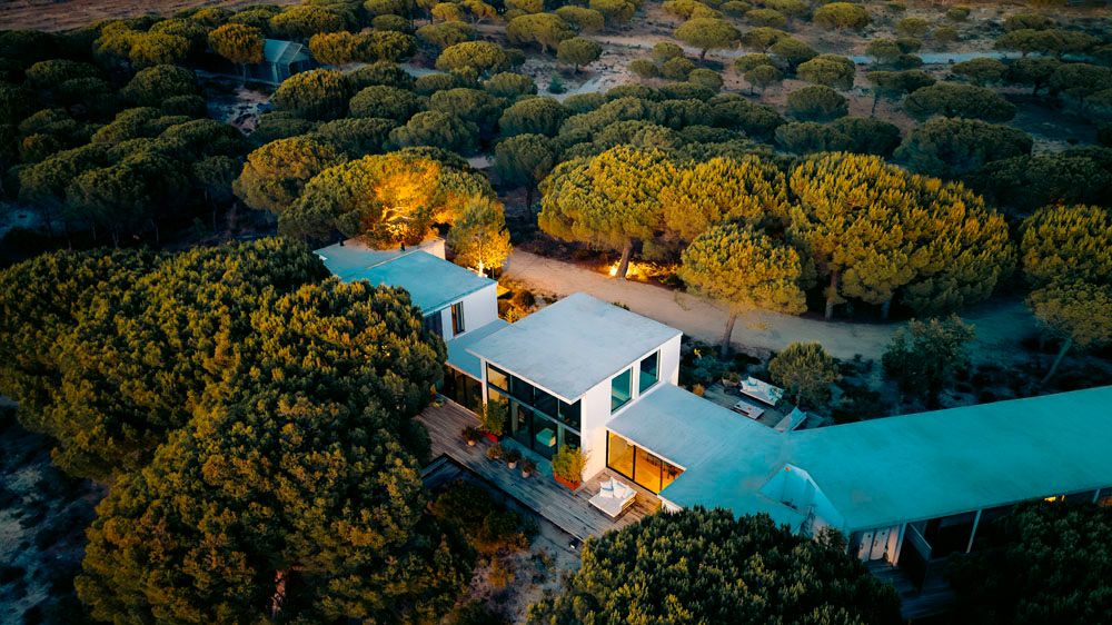 Sunrise, Surf & Salty Air