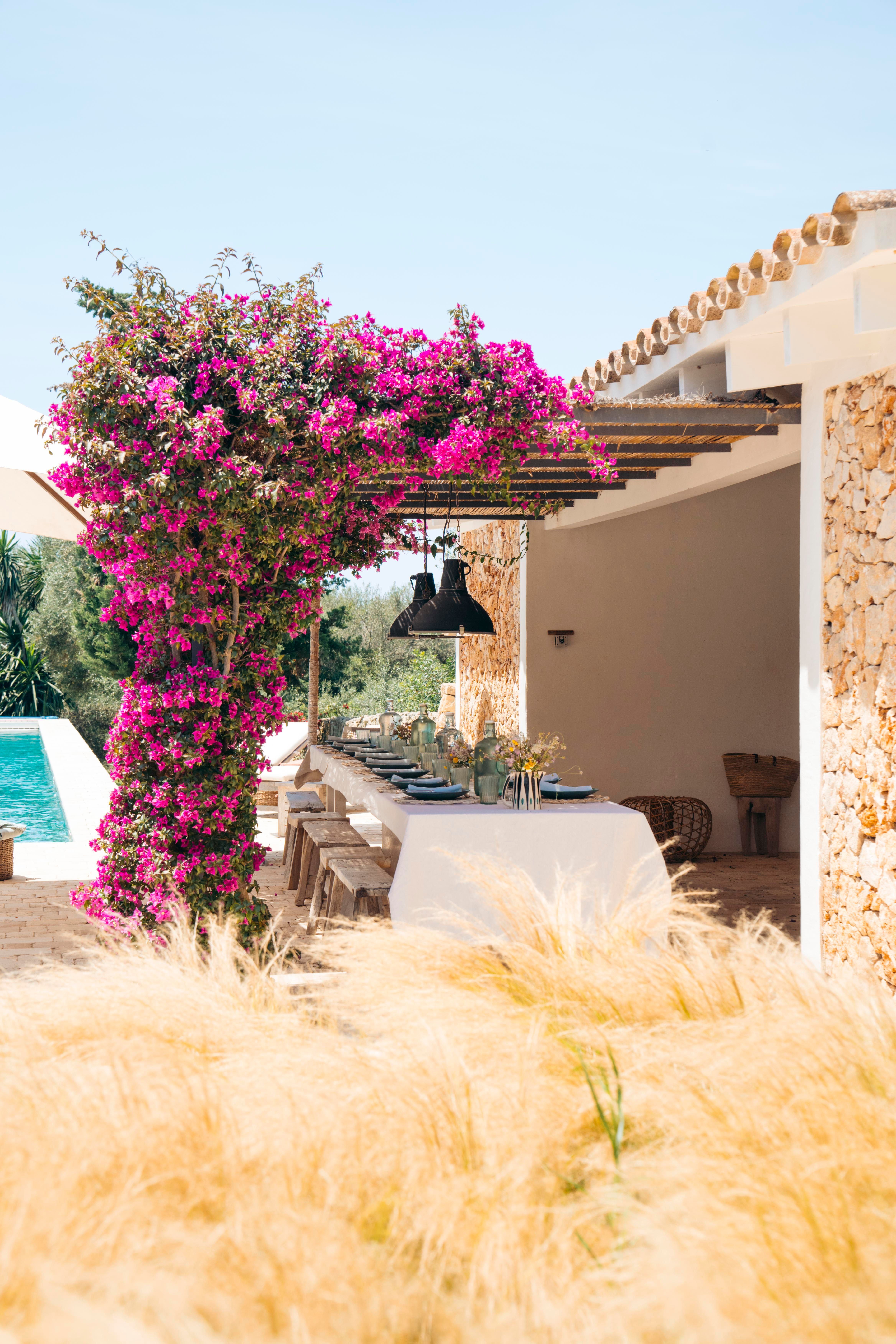Hilltop Finca Estate — image 25