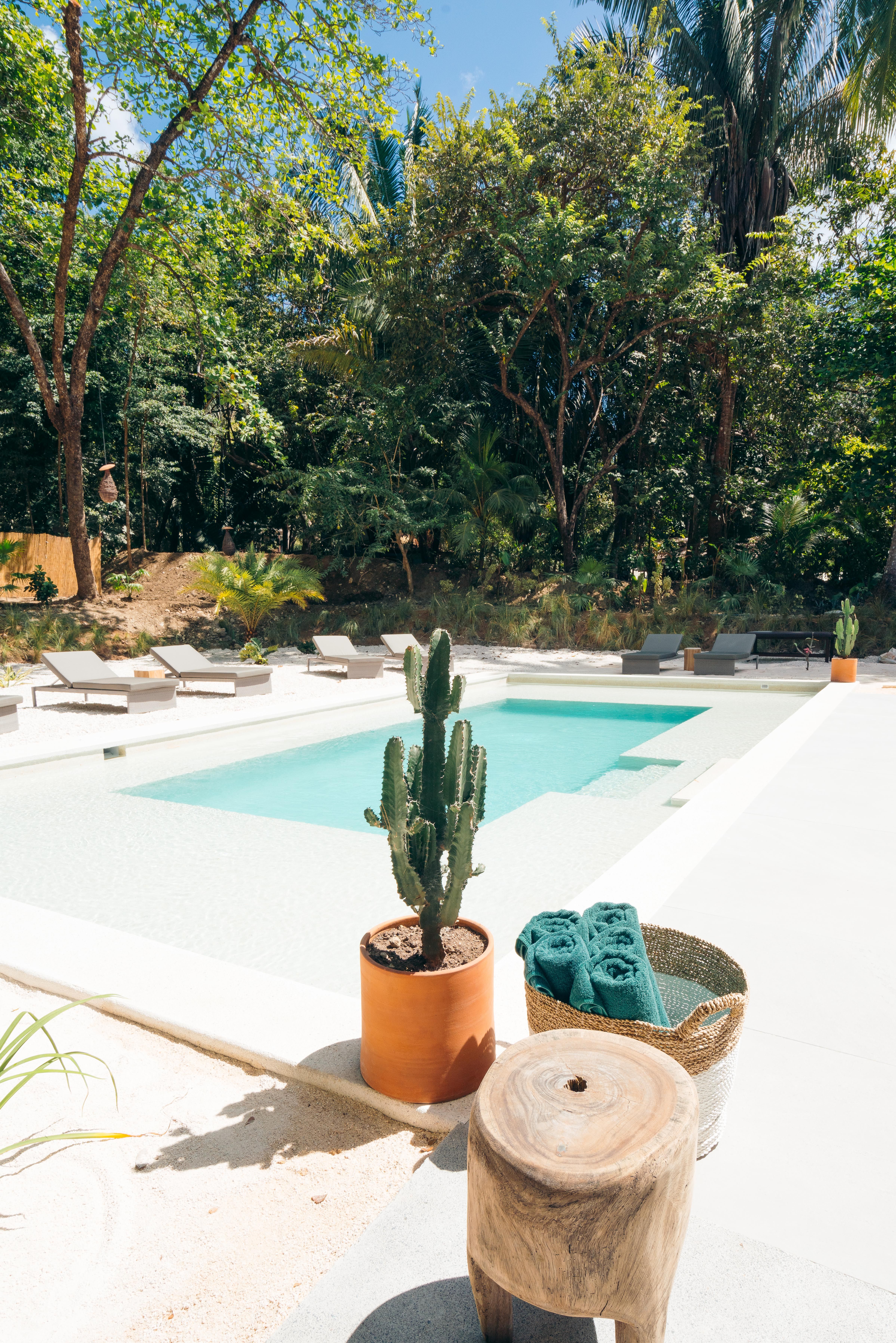 Beachfront Jungle Villa — image 13