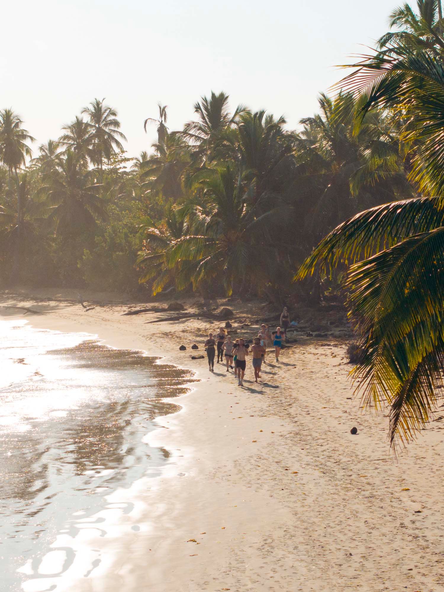 Beachfront Caribbean Villa — image 8