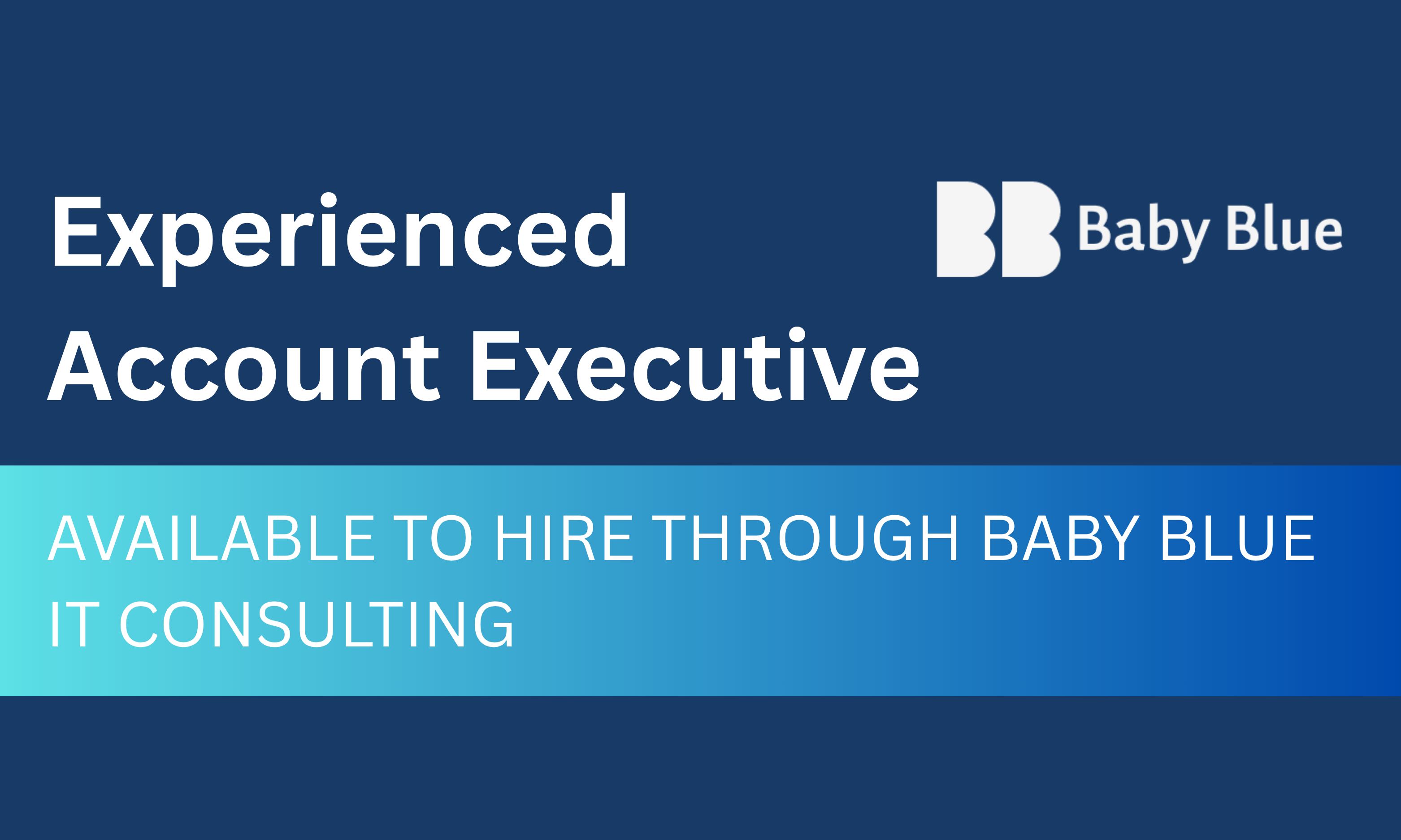 image for Experienced Account Executive