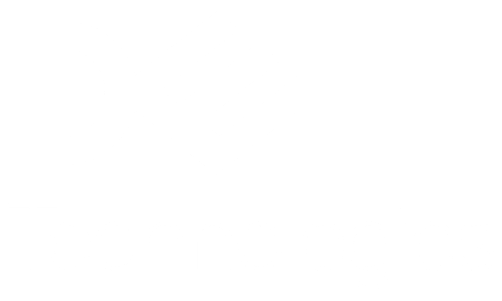 Dell Technologies White Logo
