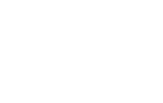 White Cisco Partner Logo