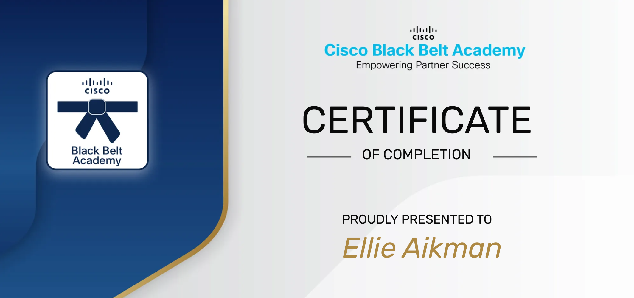 image for Baby Blue Strengthens Its Cisco Expertise with Cisco Black Belt Academy
