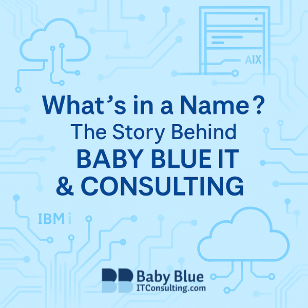 image for What's in a Name? The Story Behind "Baby Blue IT & Consulting"