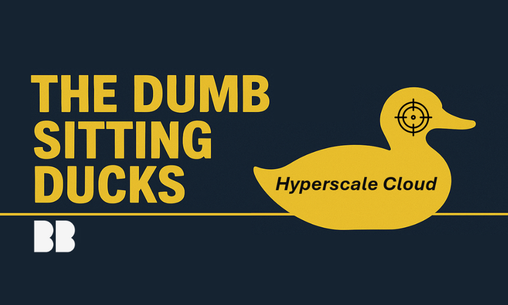 image for Hyperscale Clouds - The Dumb Sitting Ducks