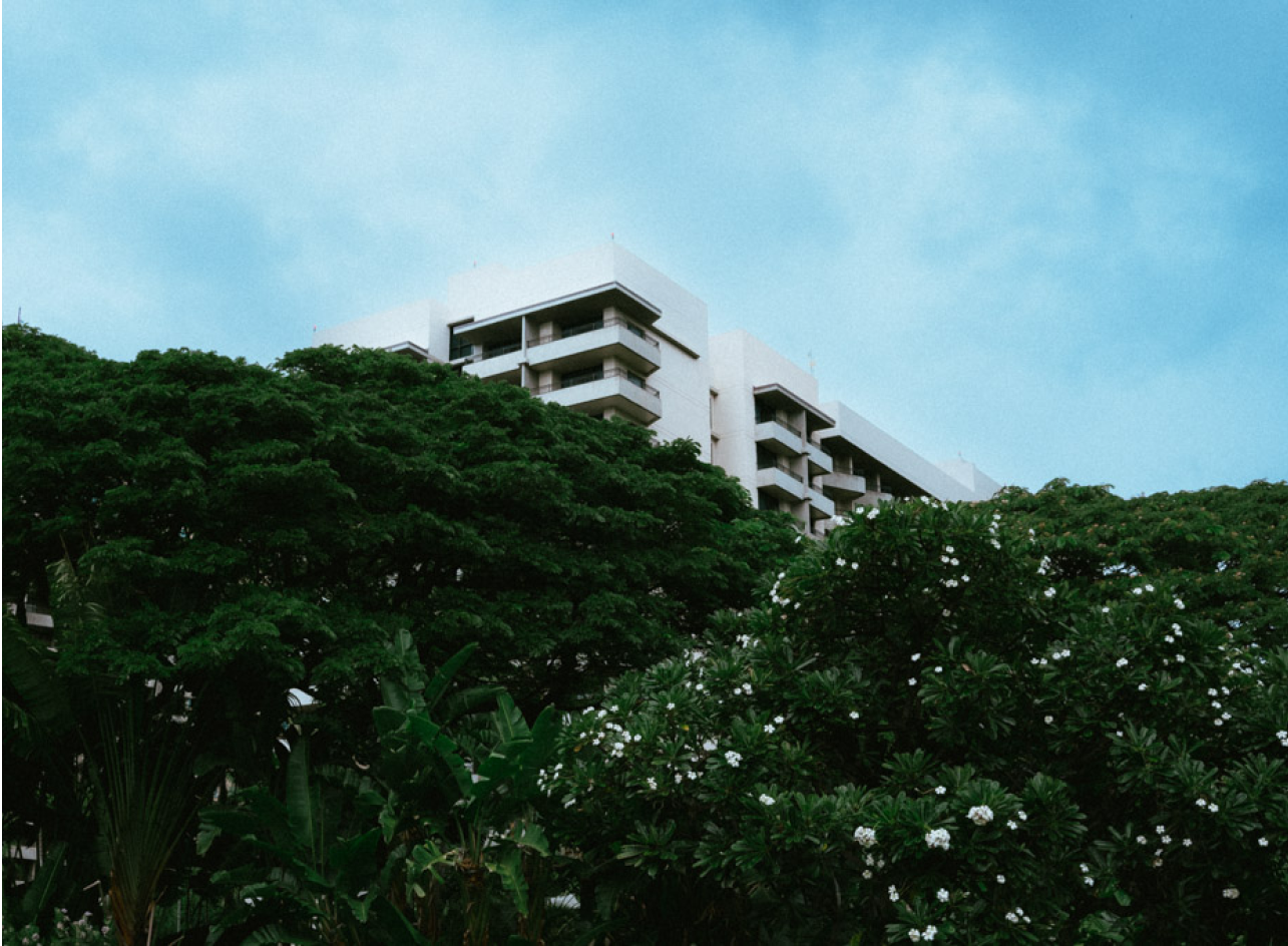 2024 📷 in O’ahu