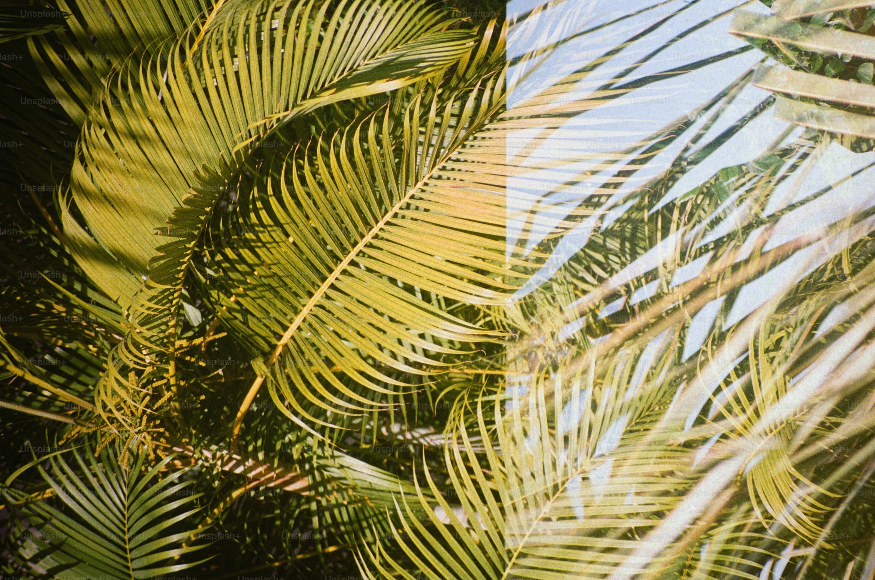 Template – Kristina Matuška