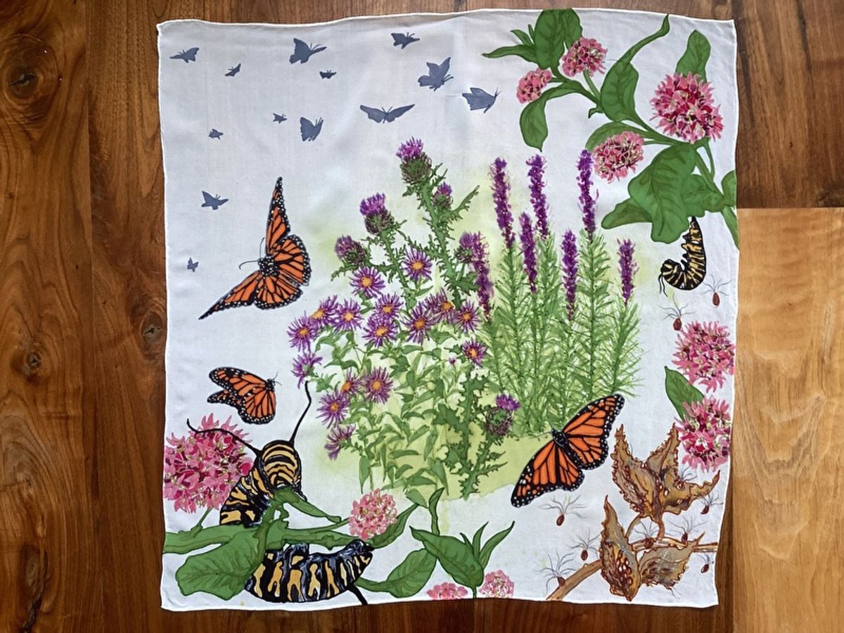 Monarchs and Milkweed — image 3