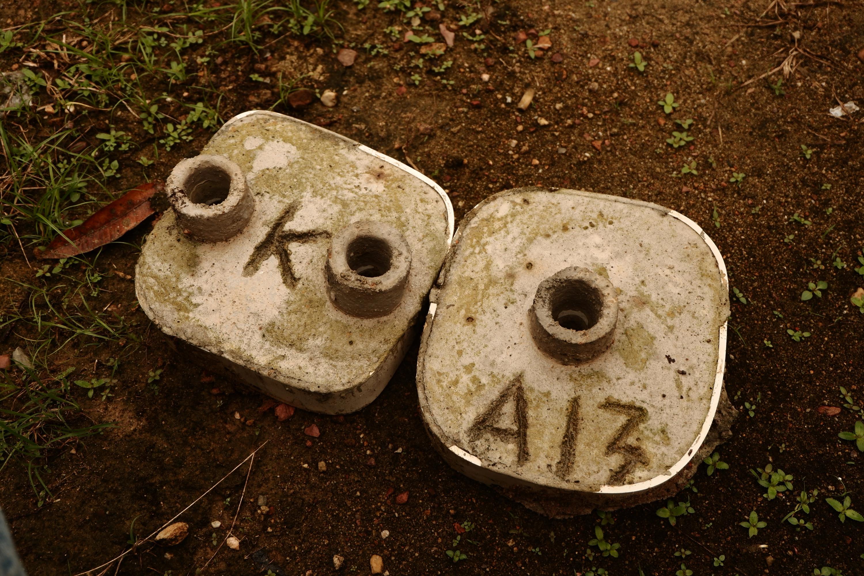 Gambar di dalam artikel