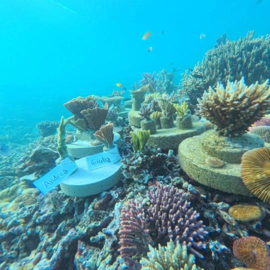 Gambar di dalam artikel