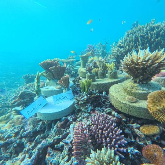 Gambar di dalam artikel