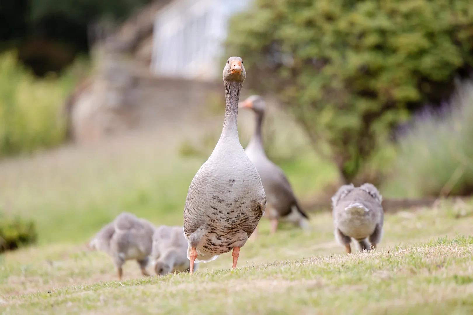 Breakout room at Salomons Estate