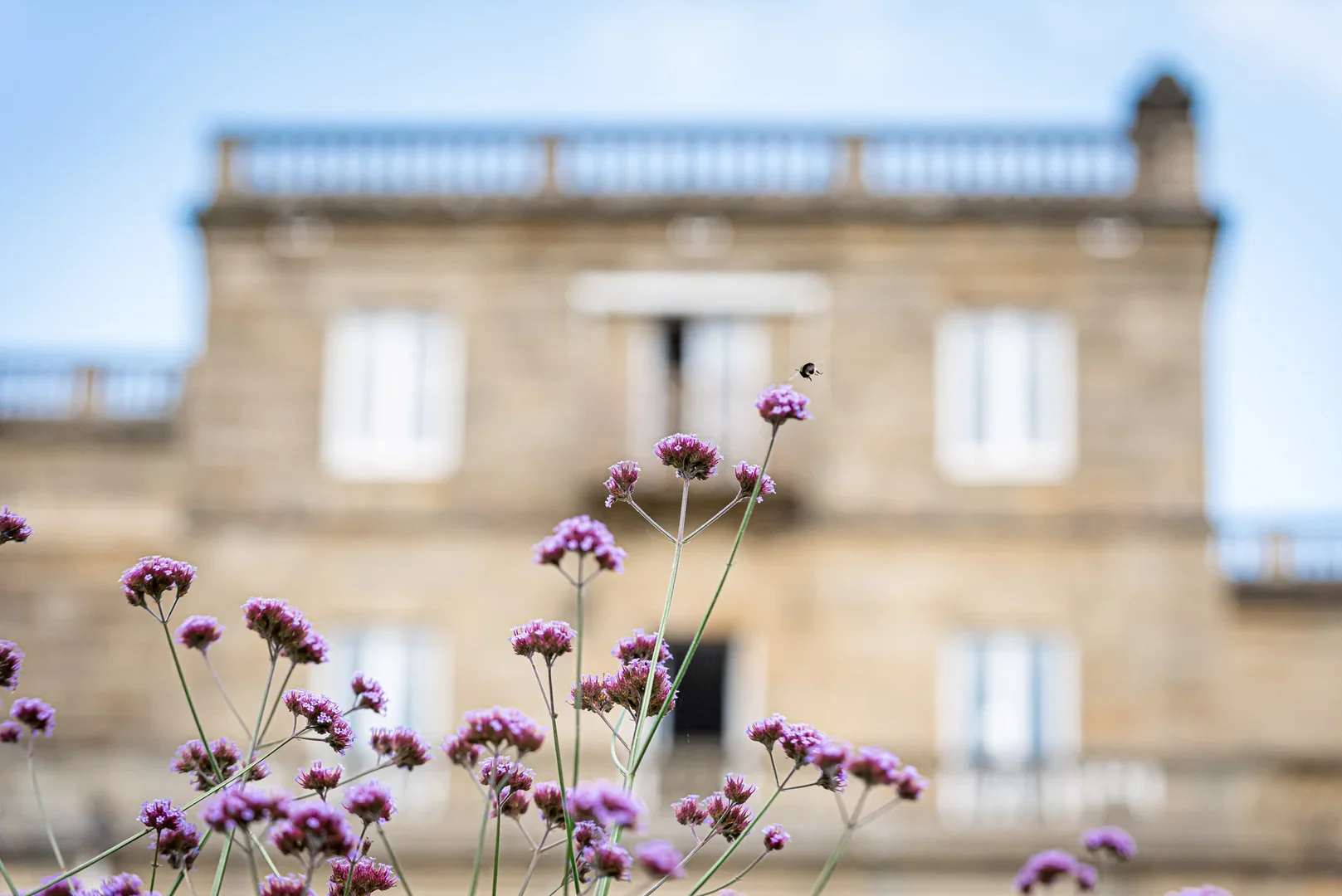 Wedding in the grounds of Salomons Estate