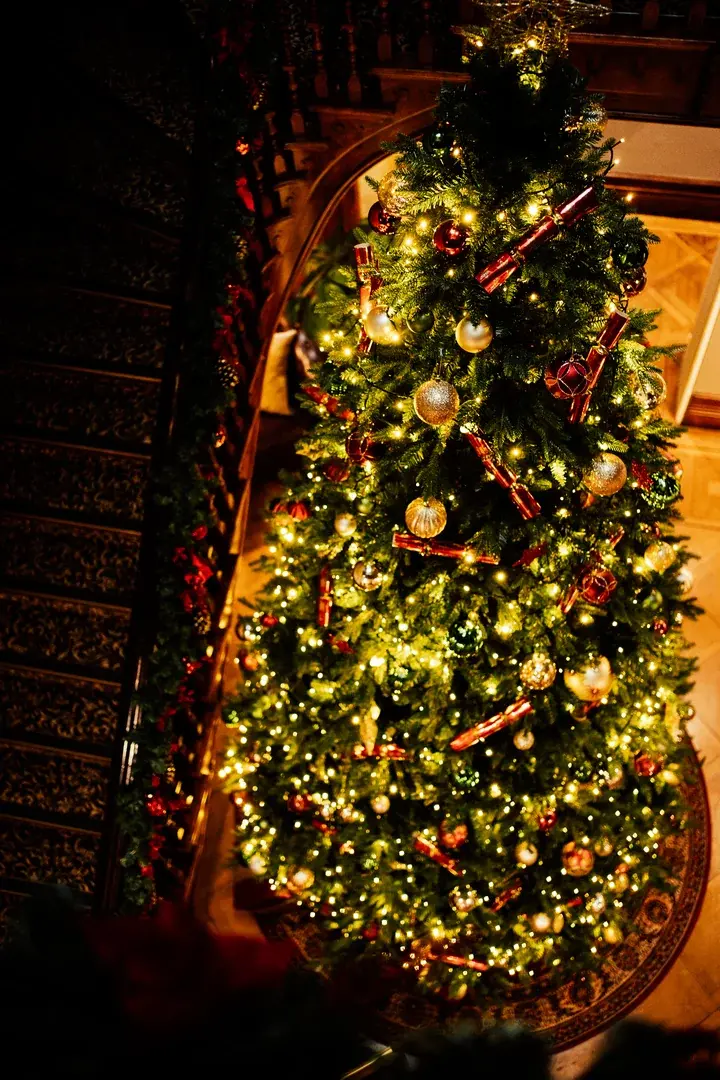 Festive celebrations at Salomons Estate