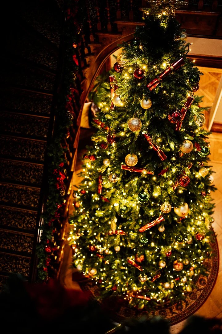 Festive celebrations at Salomons Estate