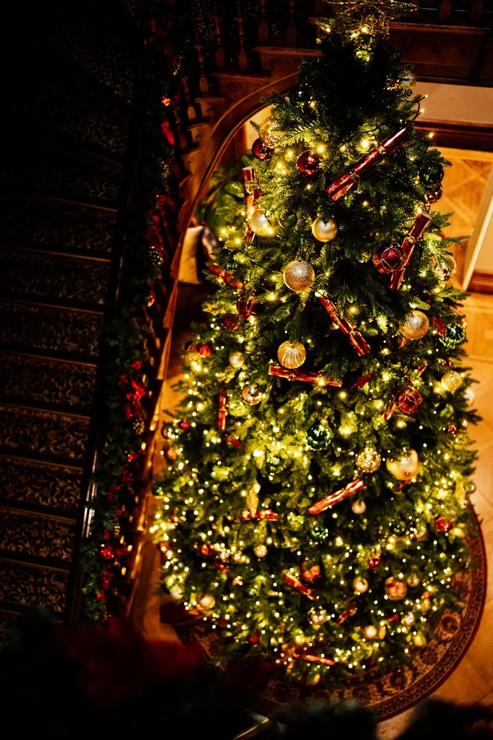 Festive celebrations at Salomons Estate