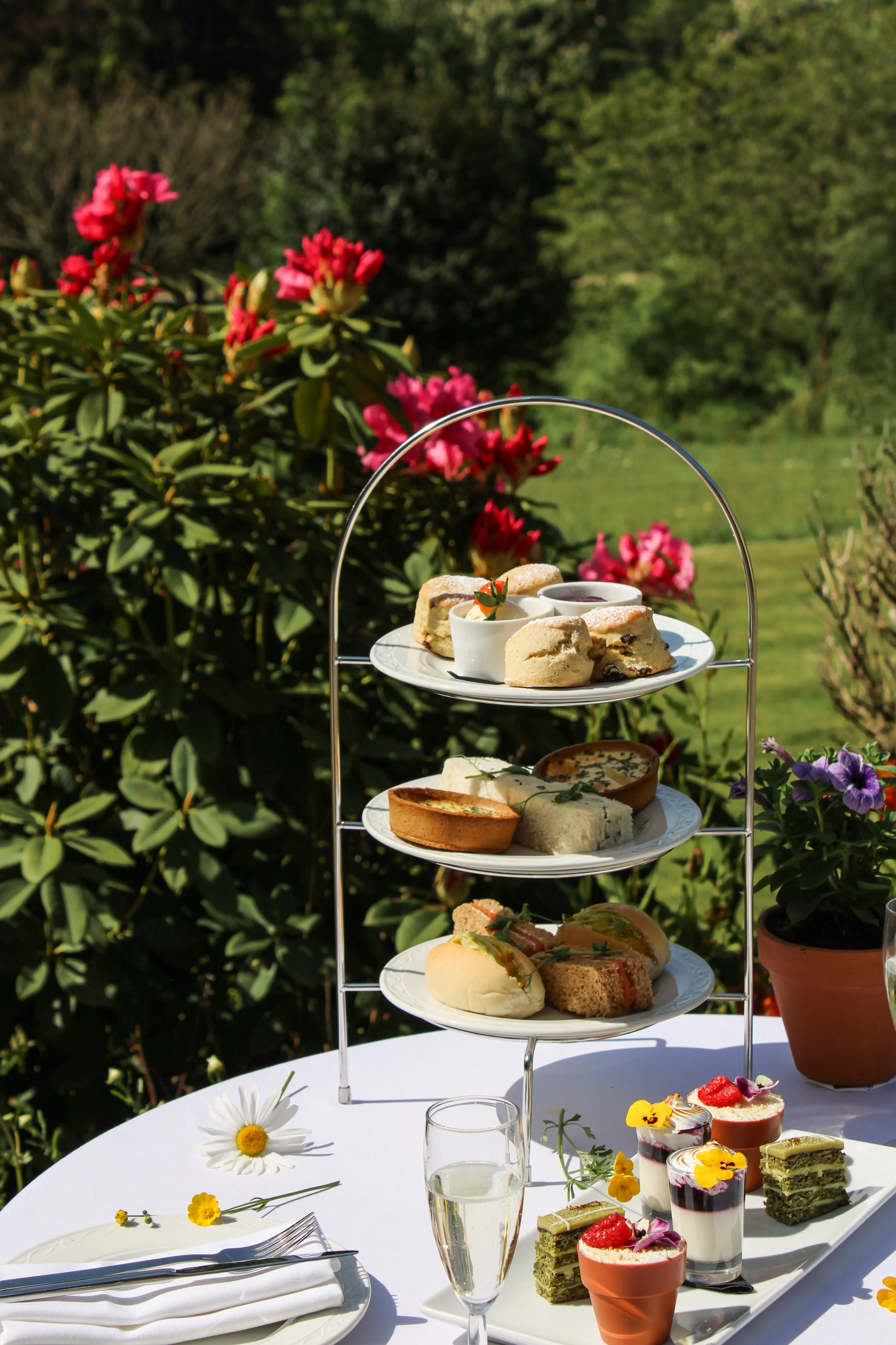Tiered afternoon tea stand with scones, sandwiches, and champagne in the gardens at Salomons Estate