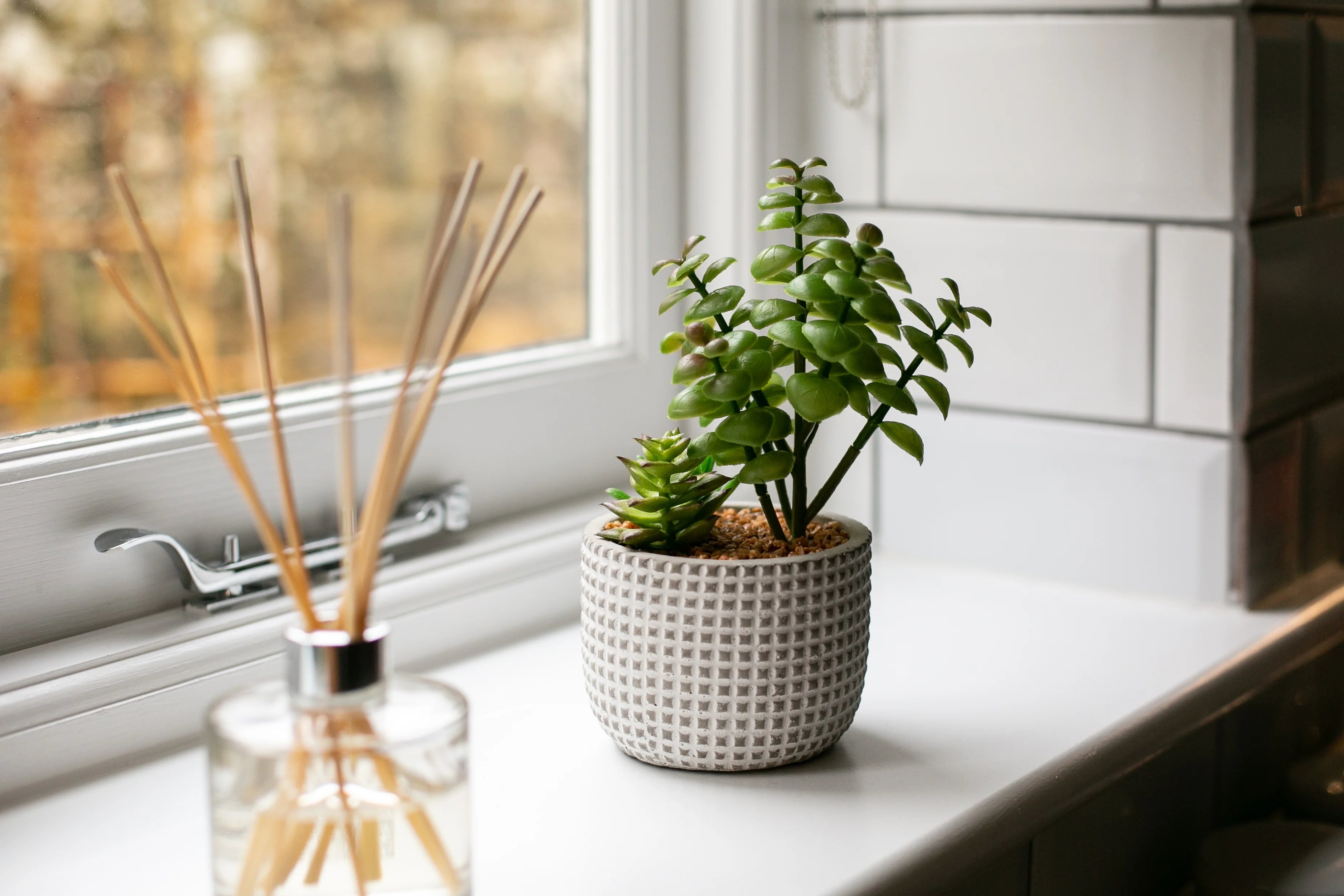 Self Catering Holiday Cottages