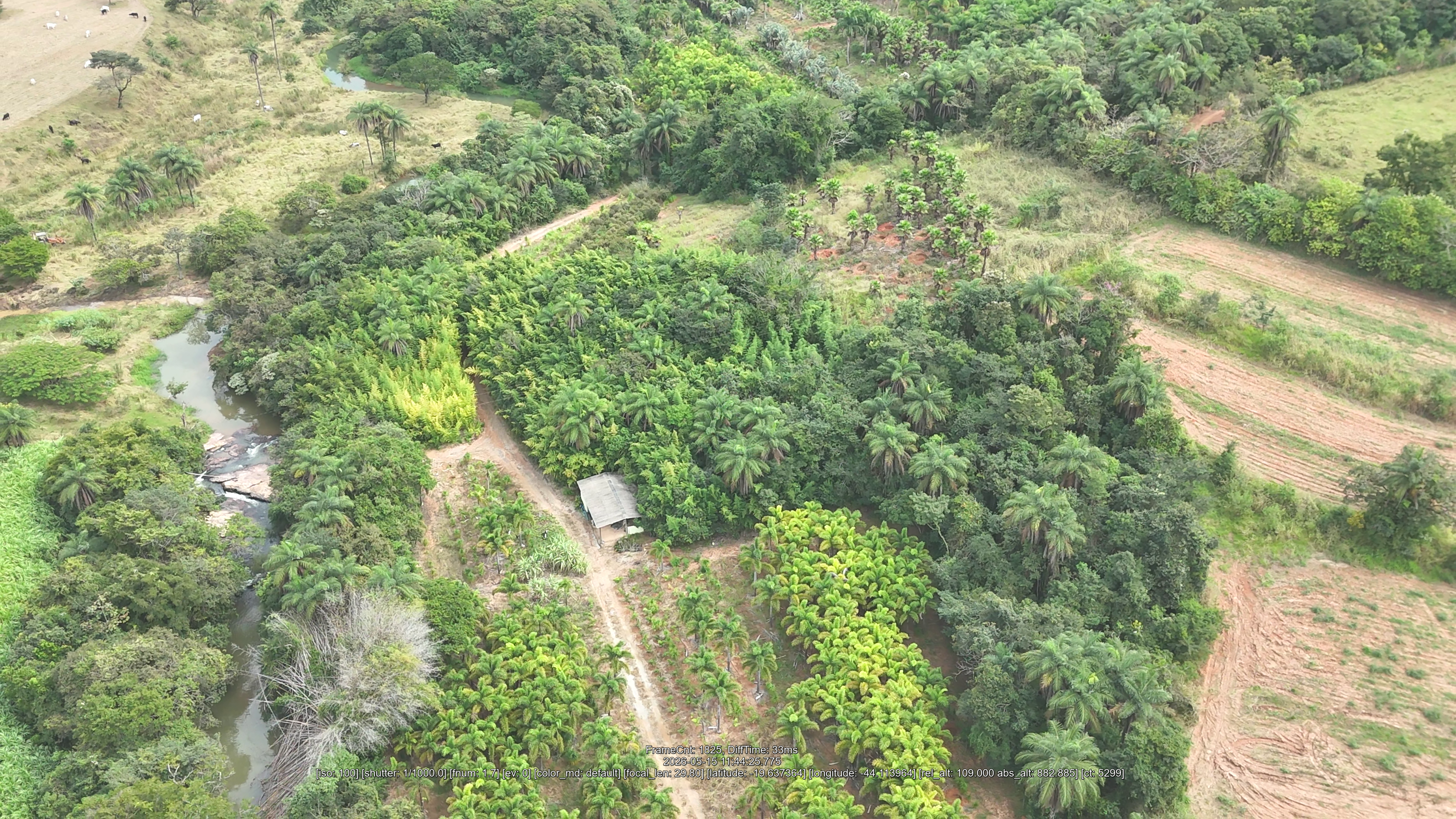 Da nossa terra ao seu jardim.