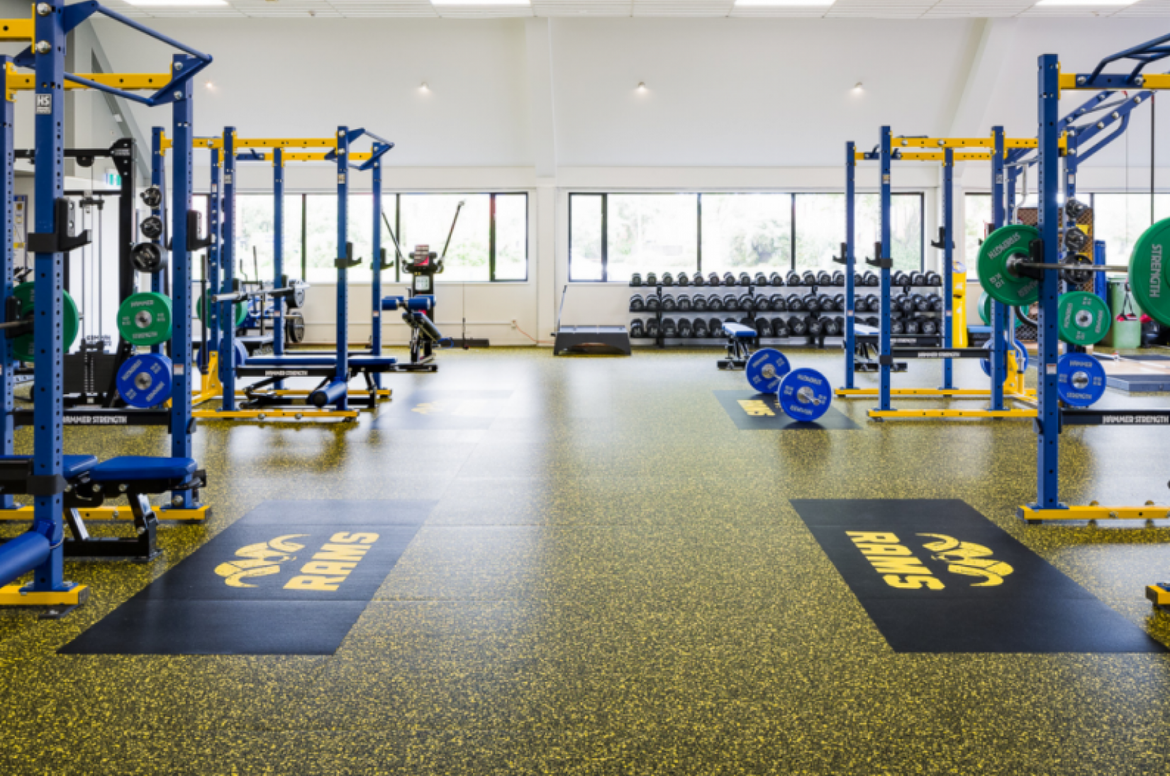 article-are-rubber-tiles-best-gyms-2-1.png