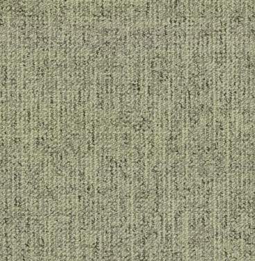 CANVAS_625-SAGE.jpeg