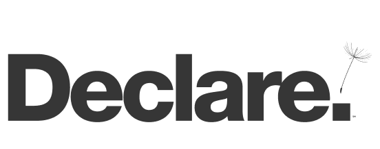 declare-logo