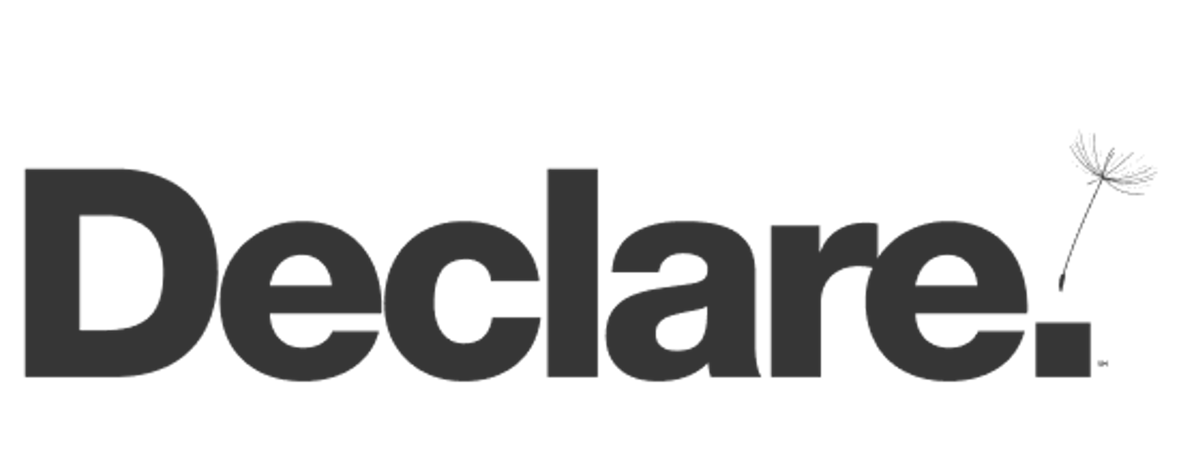 declare-logo