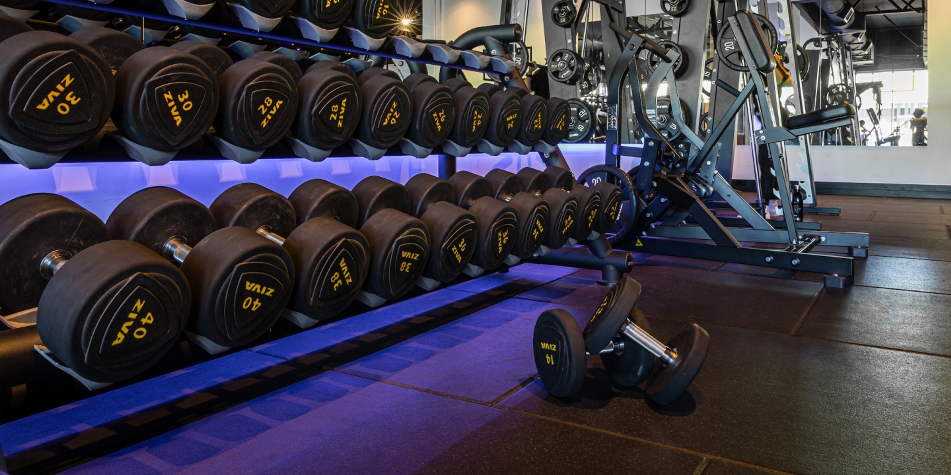 case-study-revl-gym-wellington--mg-9139-edit-0.jpg