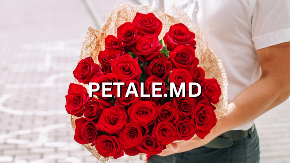 blog-image