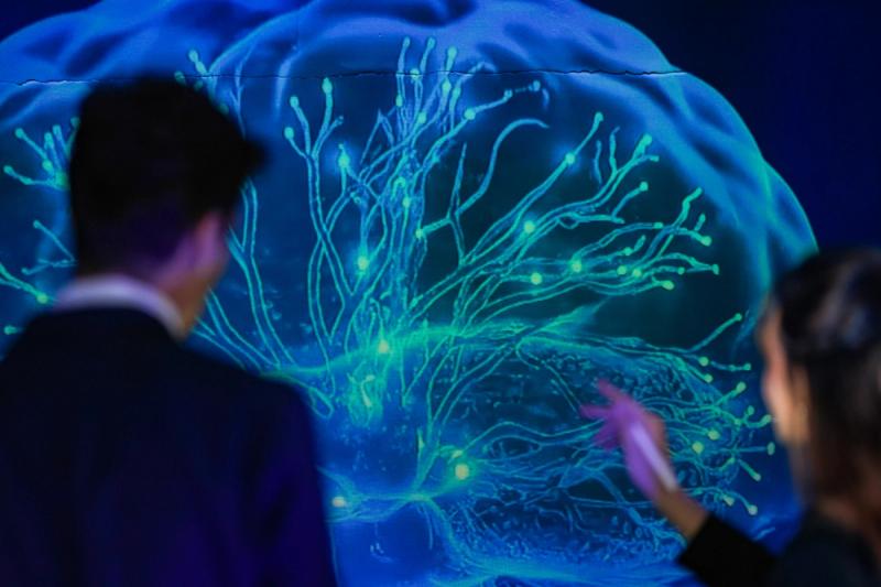 Abstract network of glowing nodes with a red data pulse symbolizing automated appointment reminders