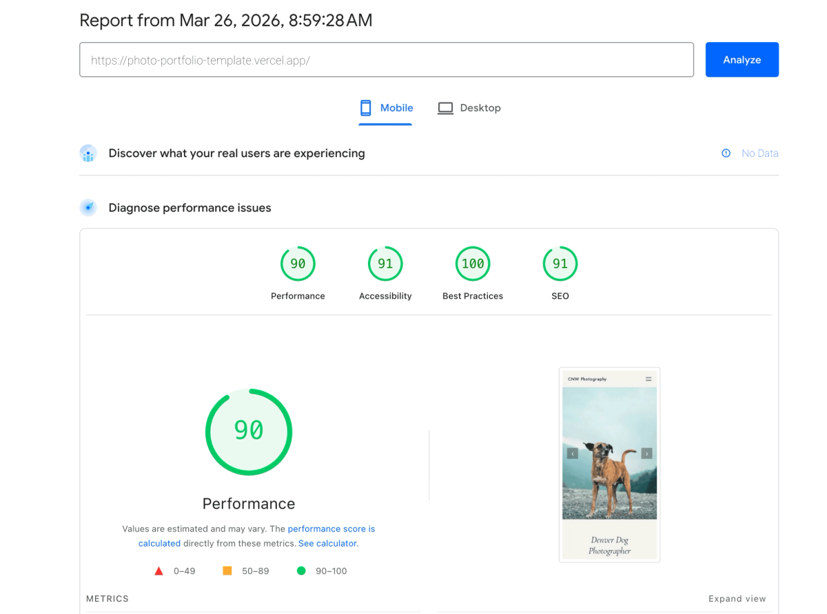 pagespeed insights report showing a stellar performing website for a dog photographer