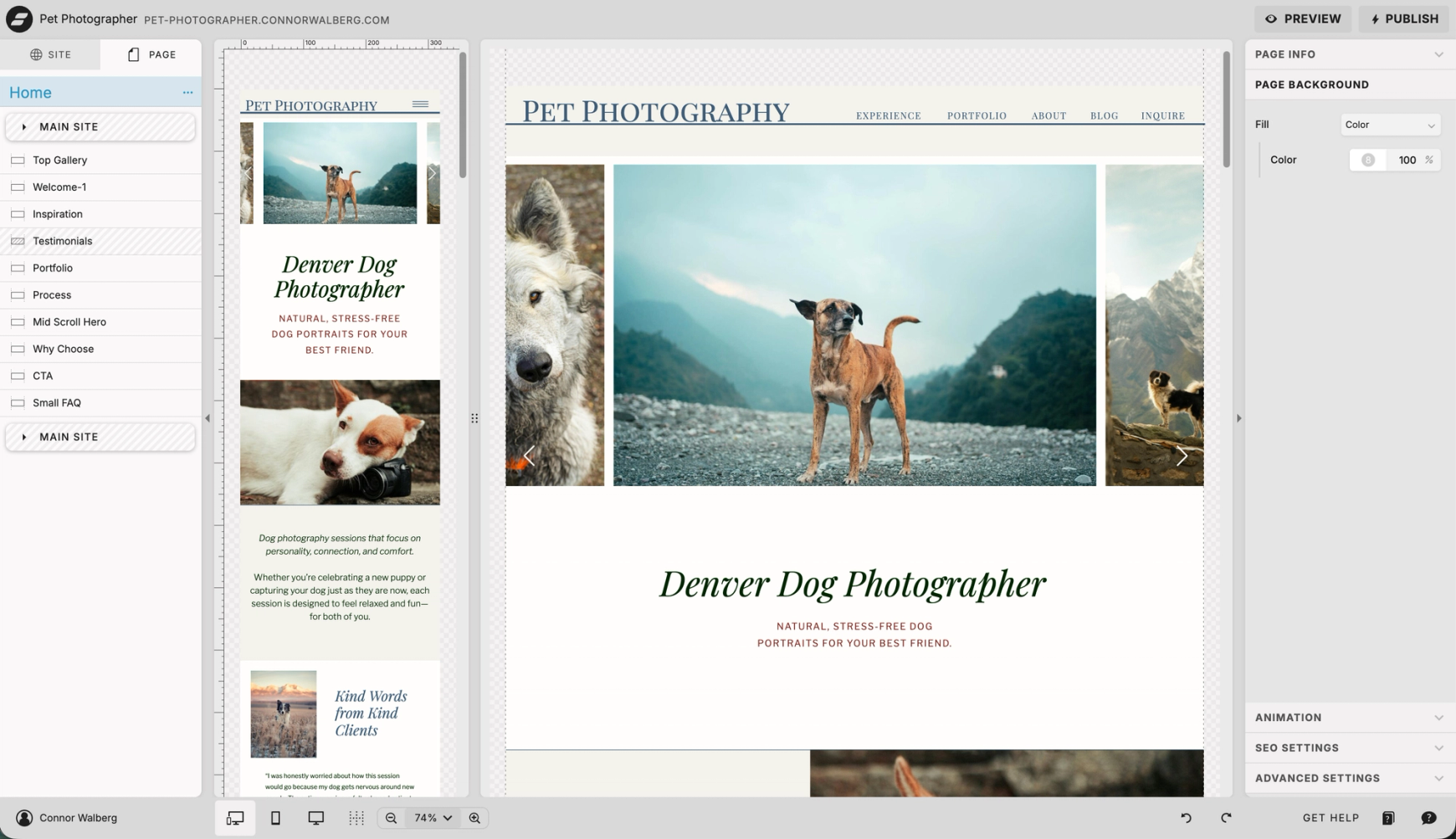 ShowIt website dashboard showing the pet photographers theme by Connor Walberg SEO
