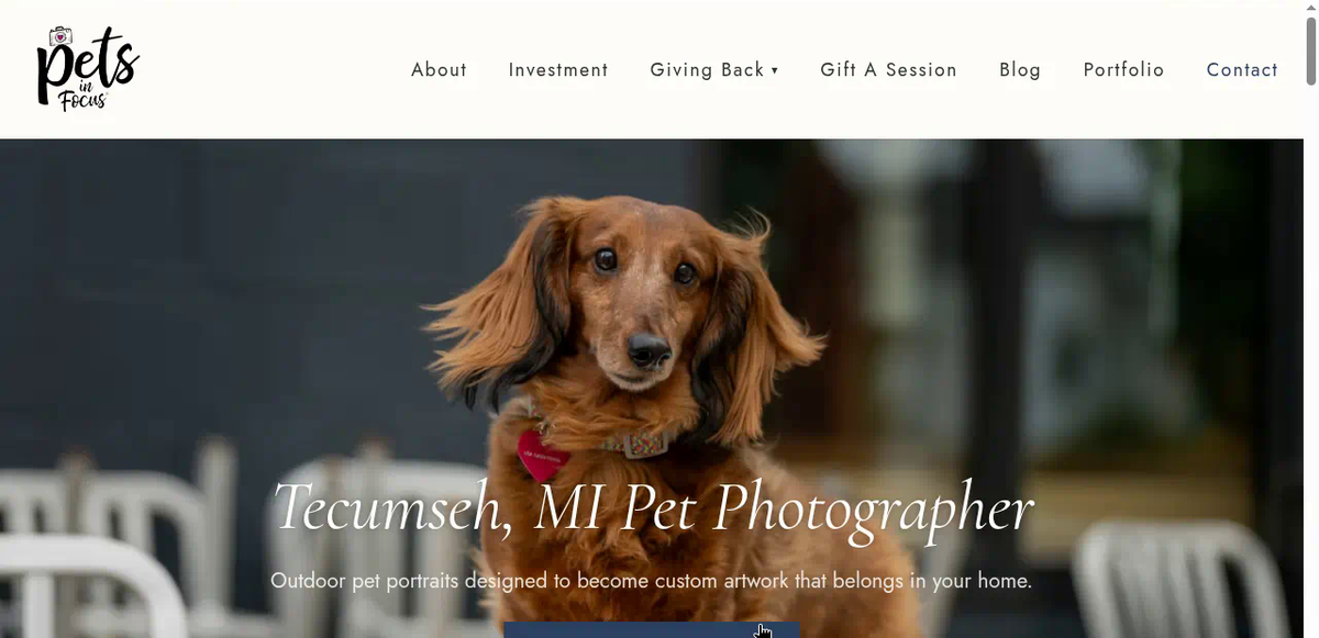 Singletrack Sites vs Showit, Squarespace, and Pixieset for Photographers