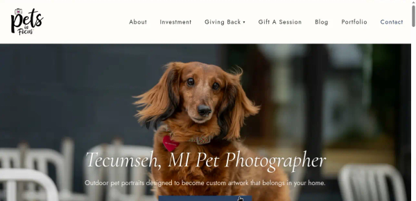 Singletrack Sites vs Showit, Squarespace, and Pixieset for Photographers
