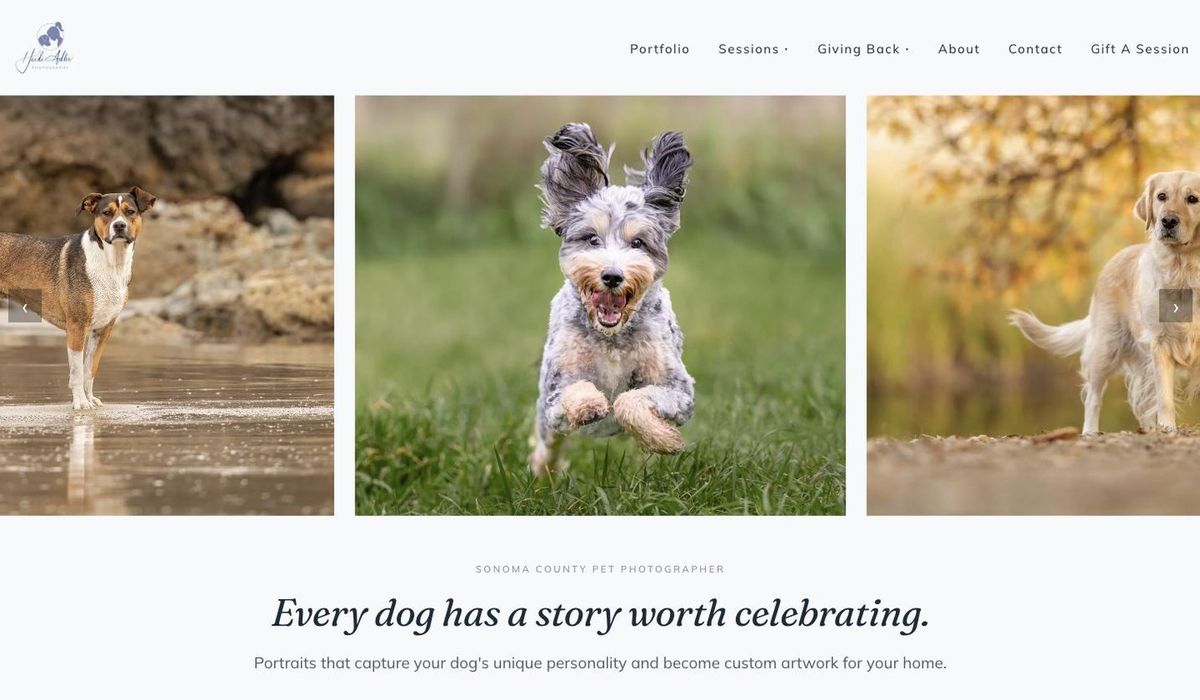 Heidi Adler Photography homepage